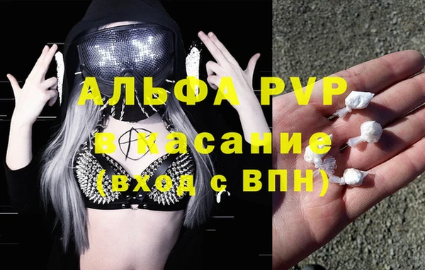 прущие крисы Алзамай