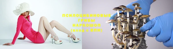 прущие крисы Алзамай