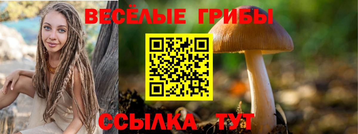 Псилоцибиновые грибы Cubensis  Псилоцибиновые грибы прущие грибы  Анапа  Вход с VPN 